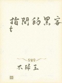 指间的黑客txt