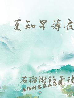 夏知星薄夜宸