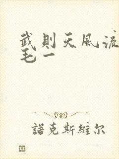 武则天风流艳情毛一