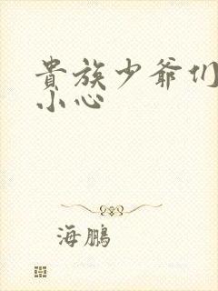 贵族少爷们 请小心