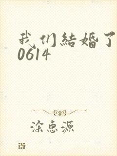 我们结婚了130614