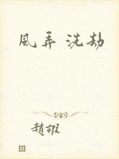 风弄 洗劫