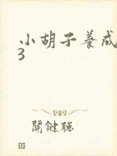 小胡子养成计划3