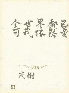 全世界都已剧终可我依然爱你