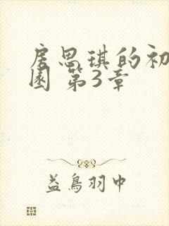 房思琪的初恋乐园 第3章