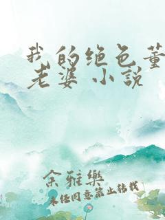 我的绝色董事长老婆 小说