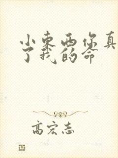 小东西你真能要了我的命