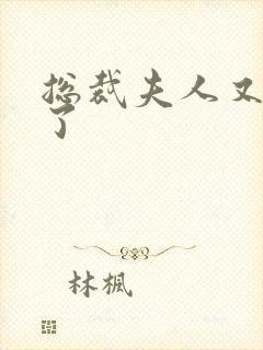 总裁夫人又征婚了