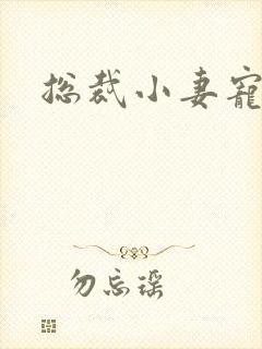 总裁小妻宠上天