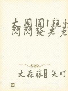 大团圆1亲情会闪闪发光免费