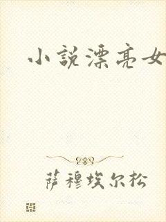 小说漂亮女局长