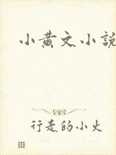 小黄文小说