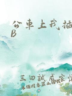 公车上我插上骚B