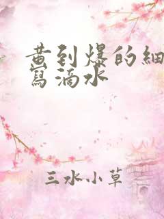 黄到爆的细节描写滴水