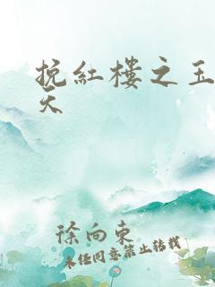 挽红楼之玉舞九天