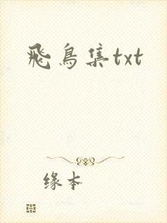 飞鸟集txt