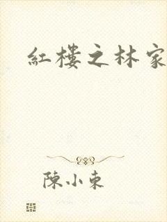 红楼之林家有妻