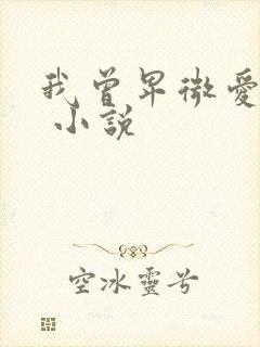 我曾卑微爱过你 小说