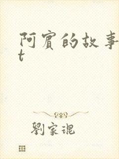 阿宾的故事txt