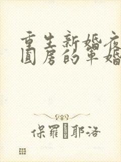 重生新婚夜正在圆房的军婚小说