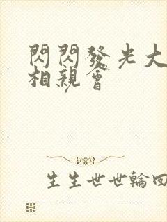 闪闪发光大团圆相亲会