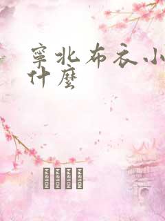 宁北布衣小说叫什么