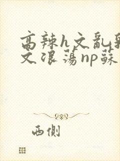 高辣h文乱乳h文浪荡np苏夏