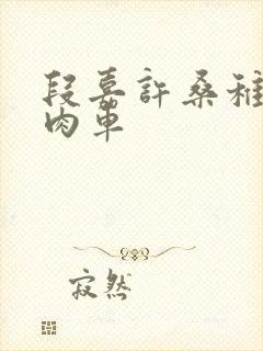 段嘉许桑稚浴室肉车