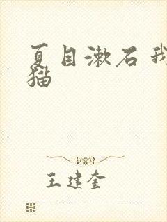 夏目漱石 我是猫