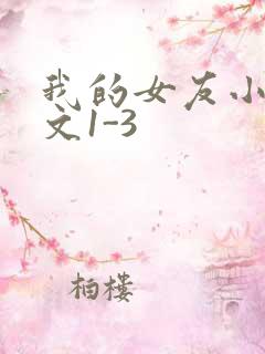 我的女友小洁全文1-3