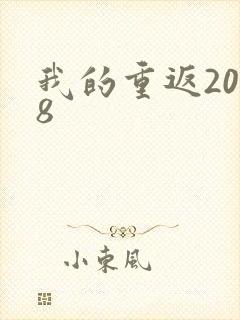我的重返2008