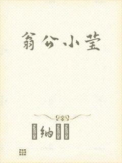 翁公小莹