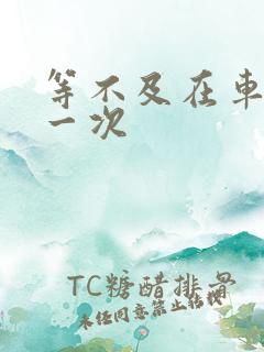 等不及在车里做一次