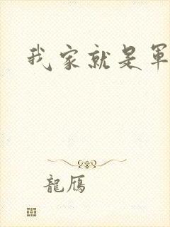 我家就是军火铺