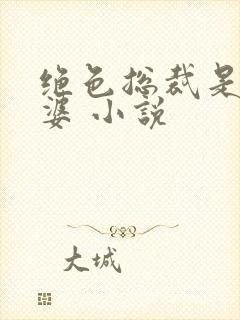 绝色总裁是我老婆 小说