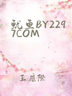 鱿鱼BY2297COM