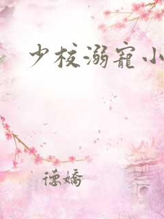 少校溺宠小小妻