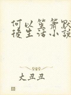 何以笙箫默之婚后生活小说