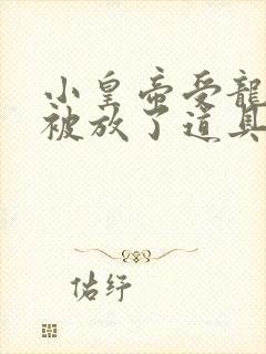 小皇帝受龙椅上被放了道具