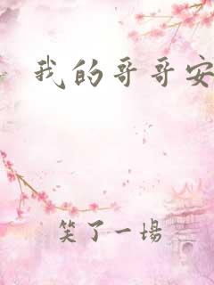 我的哥哥安小天