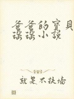 爸爸的宝贝by瑶瑶小说