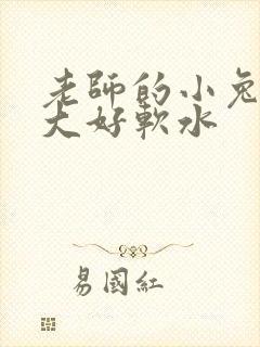 老师的小兔子好大好软水