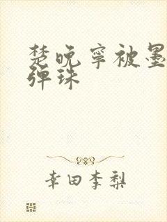 楚晚宁被墨燃塞弹珠