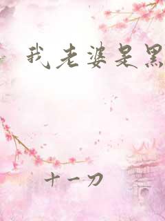 我老婆是黑社会