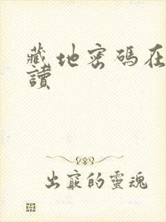 藏地密码在线阅读