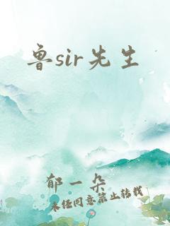 鲁sir先生