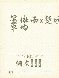 墨微雨x楚晚宁车肉