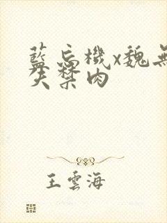 蓝忘机x魏无羡失禁肉