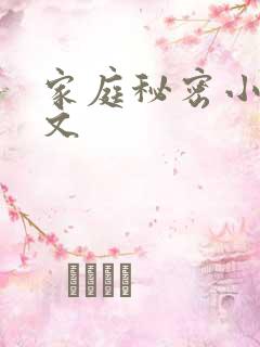 家庭秘密小说全文