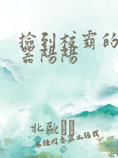 捡到校霸的遥控器阳阳